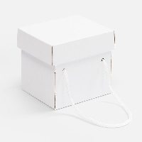 картинка Коробка Kitbag от магазина PapriQ