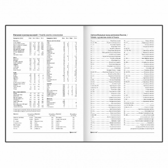 картинка Ежедневник недатированный А5 145х215 мм BRAUBERG бумвинил, 160 л., синий, 123327 в разных цветах с печатью логотипа.