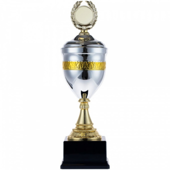 картинка Кубок EnterPrize от магазина PapriQ
