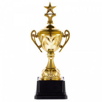 картинка Кубок Top Star от магазина PapriQ