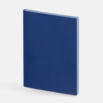 картинка Ежедневник Flat Maxi ver.2 от магазина PapriQ
