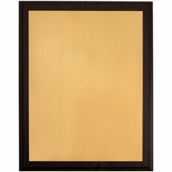 картинка Плакетка Plaque XL от магазина PapriQ