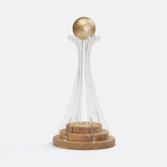 картинка Кубок Everball c 3D-элементами от магазина PapriQ