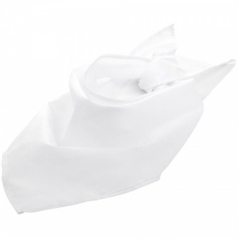 картинка Шейный платок Bandana от магазина PapriQ