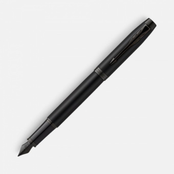 картинка Ручка перьевая Parker IM Achromatic Black от магазина PapriQ