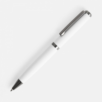 картинка Ручка шариковая Inkish Gunmetal в футляре от магазина PapriQ